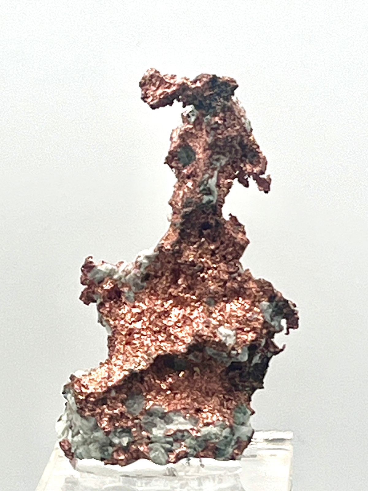 House of Fossils and Gems » Copper