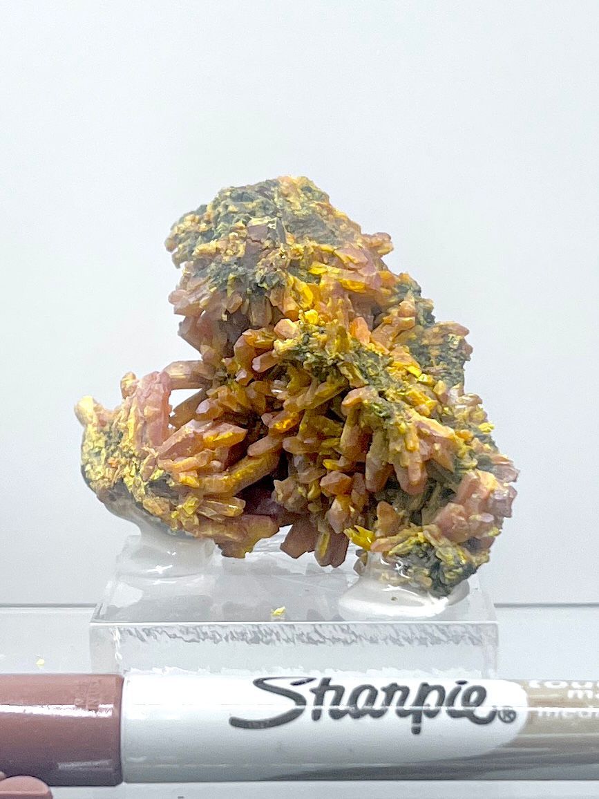 House of Fossils and Gems » Auripigment